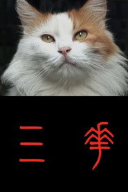 三花 封面