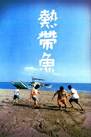 热带鱼 封面