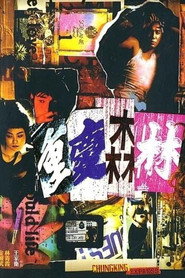 重庆森林 封面