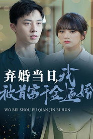 弃婚当日我被首富千金逼婚 封面