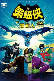 蝙蝠侠大战双面人 封面