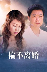 婚姻的敌人 封面