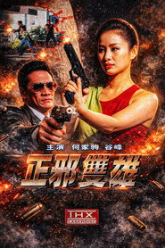 正邪双雄 封面