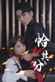 恰如其分 封面