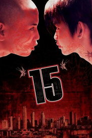 15 封面