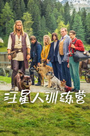 汪星人训练营 封面