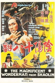 金虎门 封面