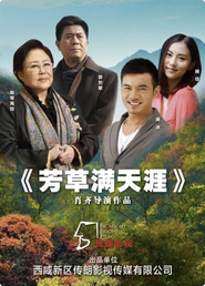 芳草满天涯 封面
