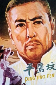 平鹰坟 封面