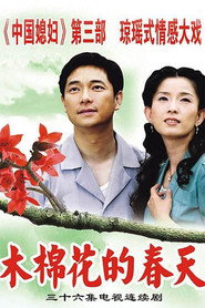 木棉花的春天 封面