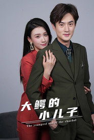 大鳄的小儿子 封面