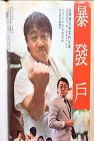 Bao fa hu 封面