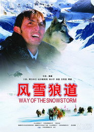 风雪狼道 封面