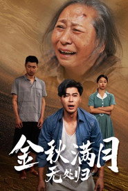 金秋满月无处归 封面