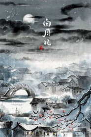 白月儿 封面