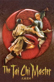太极宗师 封面