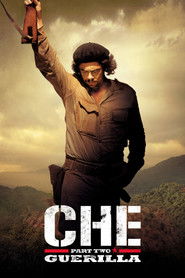 切·格瓦拉传:游击队 封面