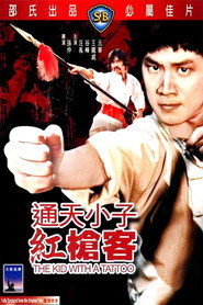 通天小子红枪客 封面