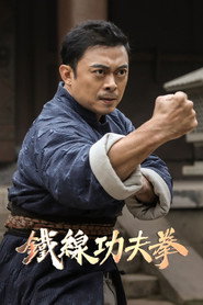 铁线功夫拳 封面