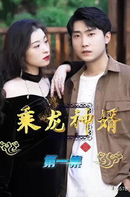 乘龙神婿 封面