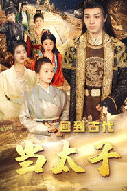 回到古代当太子 封面