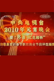 2010年中央电视台元宵晚会 封面
