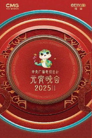 2025年中央广播电视总台元宵晚会 封面