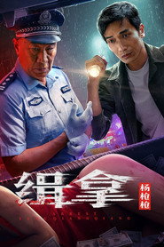 缉拿杨枪枪 封面