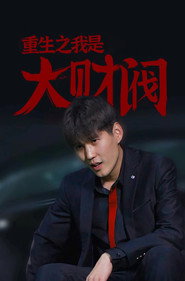 重生之我是大财阀 封面