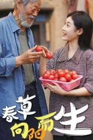 春草向阳而生 封面
