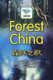 森林之歌 封面