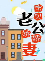 宝贝老公娇娇妻 封面