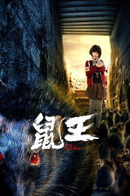 鼠王 封面