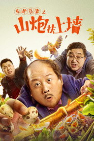 东北喜事之山炮扶上墙 封面