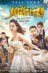 捣婚计划 封面