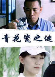 青花瓷之谜 封面