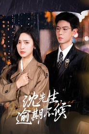 沈先生,逾期不候 封面