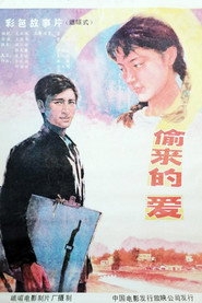 偷来的爱 封面