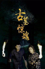 古墓惊魂 封面