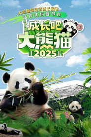 成长吧！大熊猫2025 封面