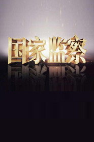 国家监察 封面