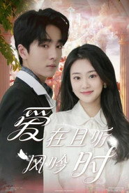 爱在且听风吟时 封面
