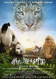 我们诞生在中国 封面