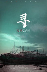 寻 封面