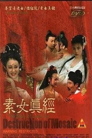 素女真经 封面
