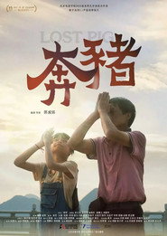 奔猪 封面