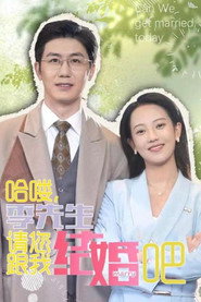 哈喽,季先生请您跟我结婚吧 封面