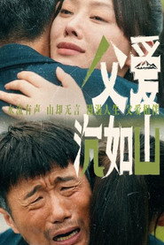父爱沉如山 封面