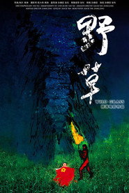 野草 封面