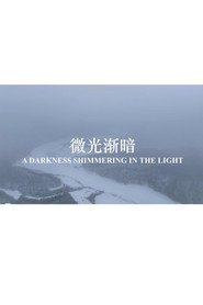 微光渐暗 封面
